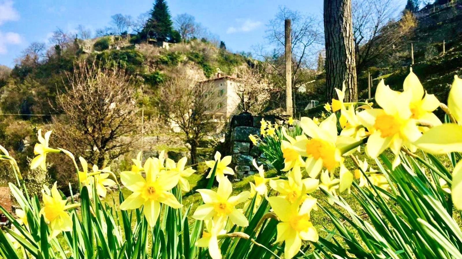 Willa La Casa Sulla Collina Del Castello Breno Zewnętrze zdjęcie