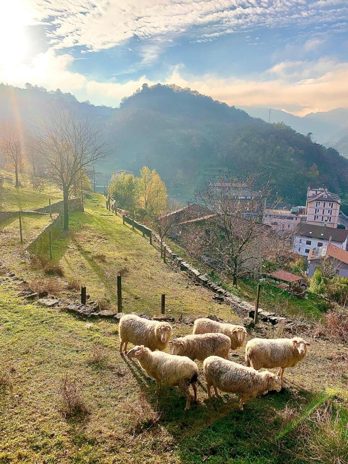 Willa La Casa Sulla Collina Del Castello Breno Zewnętrze zdjęcie